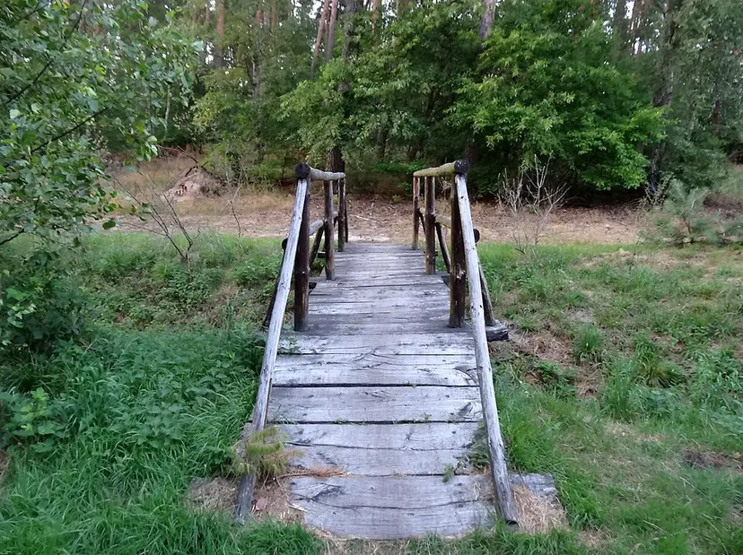 Leśna ścieżka dydaktyczna w Puszczy Bydgoskiej